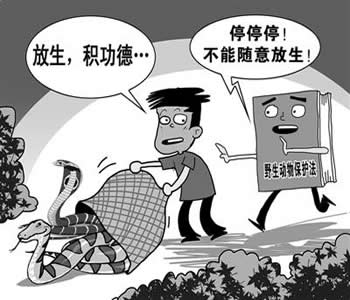 动物法2